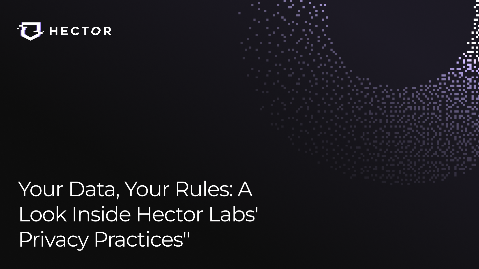Hector Labs editorial card artwork with a purple pixel grid